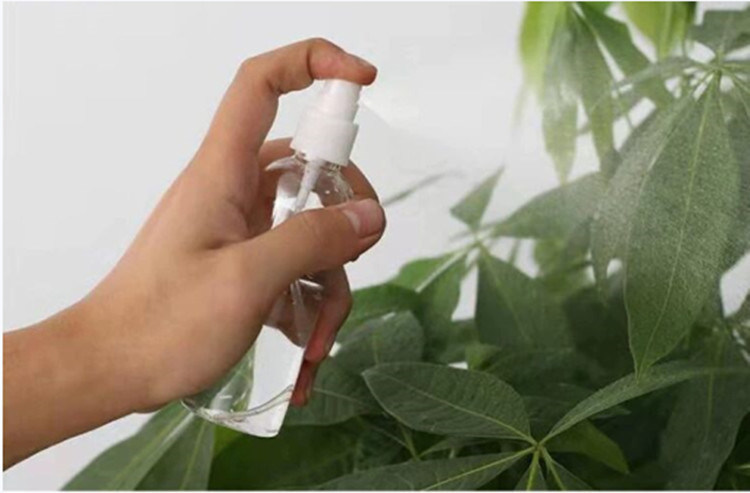 100ml 120ml 355ml nhựa nắp vít vòi bơm máy xịt chai thú cưng máy rửa tay xịt chai nhà sản xuất